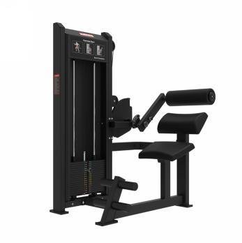 Back Extension (GS-5006) — Qingmeiya commercial fitness equipment