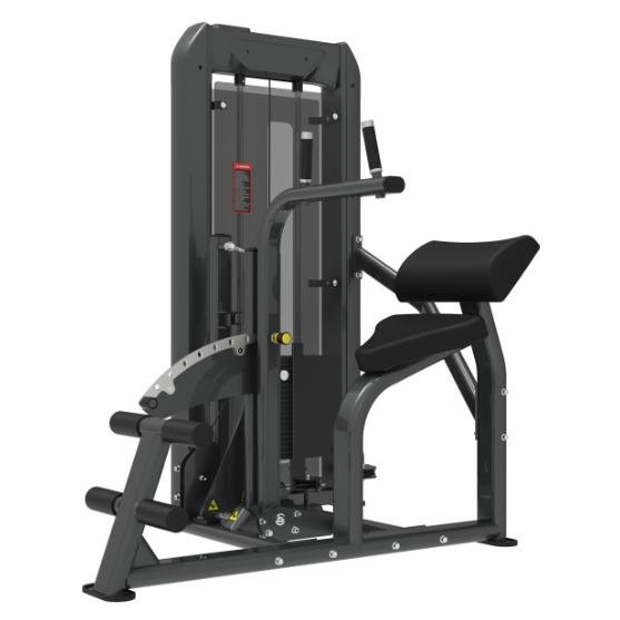Abdominal & Back Extension (TZ-N8054) — Qingmeiya commercial fitness equipment